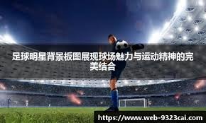 博彩行业的国际发展经验（国际视角下的博彩业发展经验）